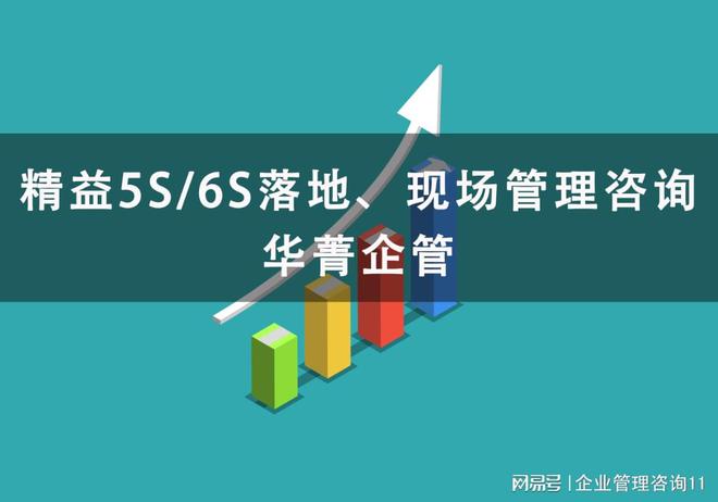 6s咨询公司-6s管理咨询凯发k8入口广东比较好的(图2)